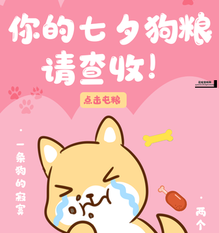 撒狗粮是什么意思(为什么单身狗会吃狗粮)