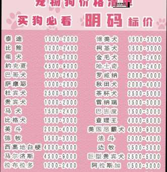 小型宠物狗价格(便宜的和贵的有什么区别)