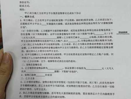 宠物狗领养(  那些0元领养的套路你都知道吗)