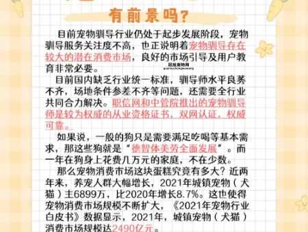 宠物训导师(到底要不要找宠物训导师)