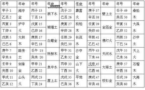 2025年五行属什么命(是火命还是木命)