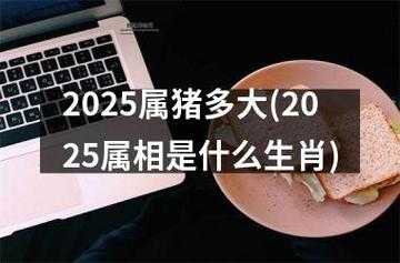 2025年是属什么年(会有啥好事发生)