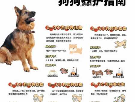 狗狗不慎掉进粪坑怎么办？应急处理指南