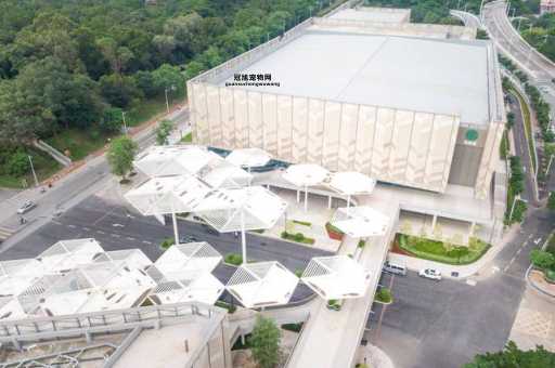 广东承办2025全运会城市名单公布，了解各地赛事安排