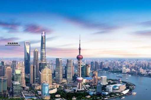 2025年别去上海的预言是真是假？了解事实真相