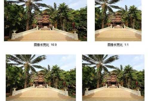 佳能600D性能如何？从画质到视频拍摄全方位剖析