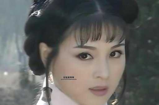 李建群个人资料及生平介绍：从服装设计师到优秀演员的传奇经历
