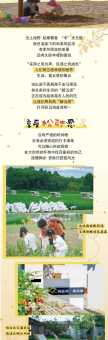 稻果旅游网(稻果旅游网满足你所有旅行需求)