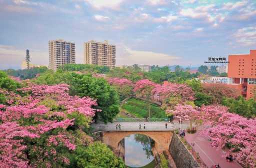 广州大学华软软件学院怎么样？考生必读的院校优势分析