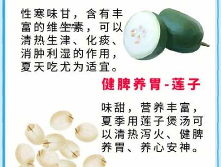 三伏天养生必知，六种食物帮助消暑排湿