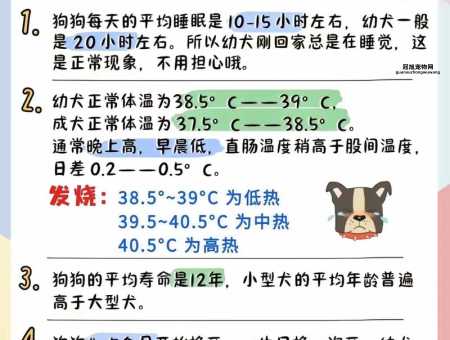 如何科学喂狗粮？不同年龄段狗狗的最佳喂养方法