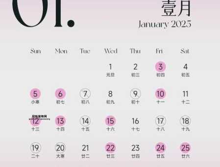 2025年结婚的最佳吉日推荐
