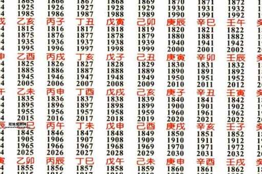 202. 2025年天干地支详解：乙巳年是什么年？