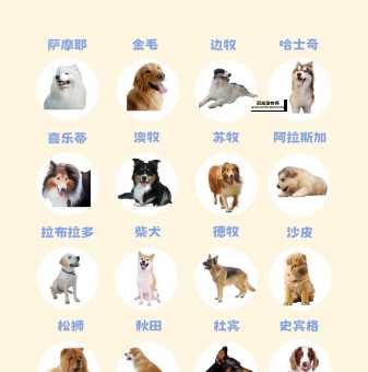 杜兵狗养护全攻略：让你后悔不养它！