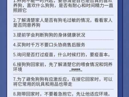 新手养狗必看：养狗注意事项与关键技巧