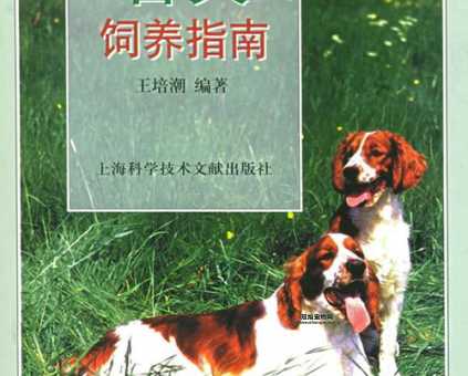 博洛尼亚犬：起源、特点与饲养指南