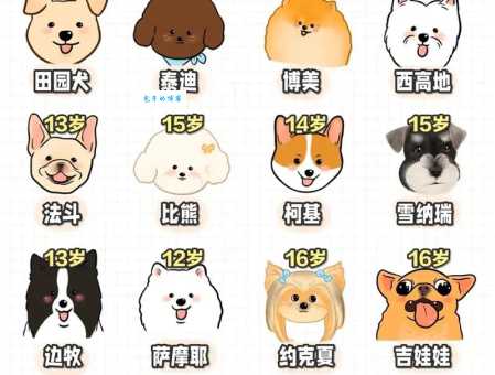 守望犬寿命有多长？分享延长狗狗寿命的秘诀！