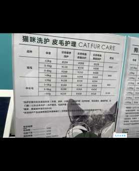 猫咪洗澡贵不贵？宠物店洗澡价格行情大起底