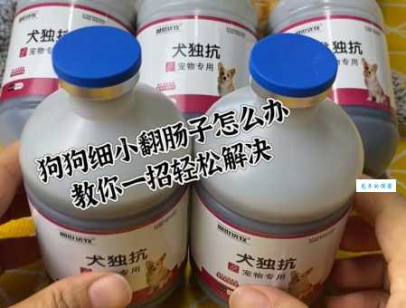 细小的潜伏期一般是几天？别慌，这篇告诉你答案！