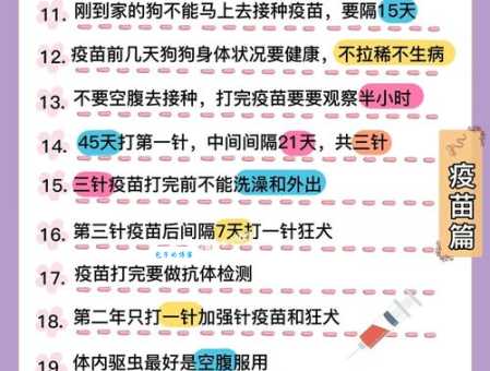 阿拉斯加雪橇犬好养吗？新手铲屎官必看的喂养指南