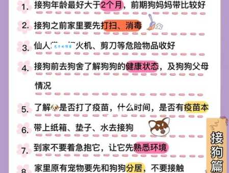 阿拉斯加雪橇犬好养吗？新手铲屎官必看的喂养指南