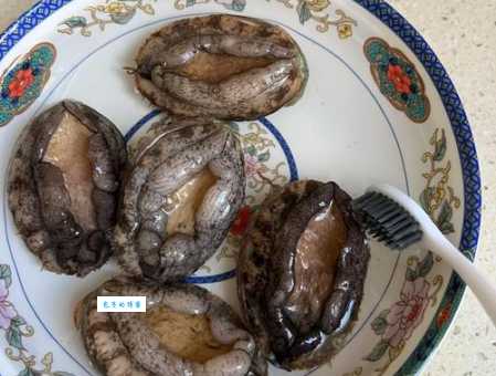 鲍鱼是真的鱼吗？答案绝对让你大吃一惊！