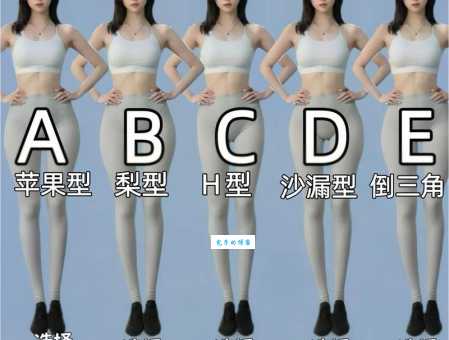 沙皮狗多少钱？不同品相价格差异大，快来看看你适合哪种！