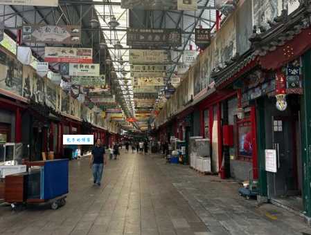 花鸟市场竟能做狗割声带手术？无良商家丧尽天良！