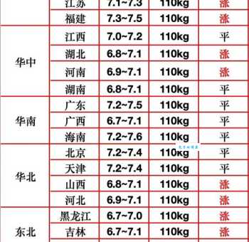大赤旋螺多少钱一斤？现在市场价竟然这么贵！