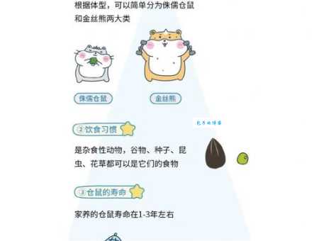 仓鼠的寿命一般几年？养仓鼠前必做的功课！