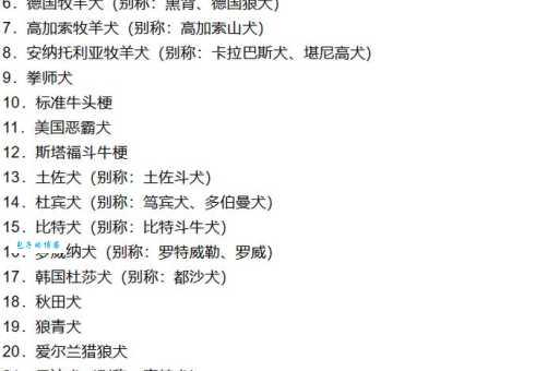 法兰德斯牧牛犬怎么训练？资深训犬师教你几招！