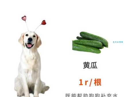 养宠物为什么这么贵？原来这些钱都花在这地方了！