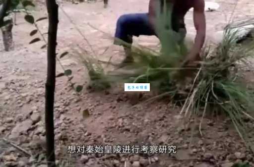 农业生产中蜗牛是敌是友？专家为你揭秘真相！