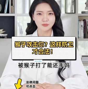 哪里能买到宠物猴子？宠物猴子价格及购买渠道！