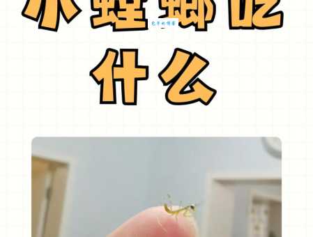 刚出生的小鱼吃什么饲料？不同鱼苗喂养技巧！