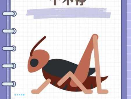 蟋蟀怎么叫的原理？专家为你揭秘真相！