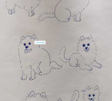 爱斯基摩狗性格怎么样？优缺点分析看完不纠结