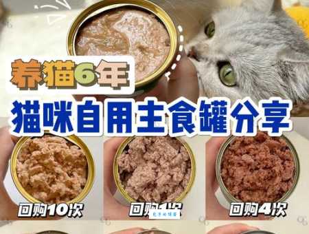 狗豆子是什么？新手铲屎官必看的小知识！