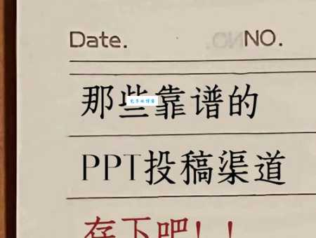 裤带蛇哪里买？这几个靠谱渠道推荐给你！