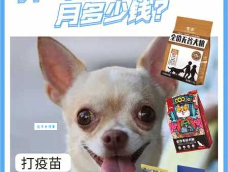 俊介是什么品种，多少钱一只？养之前必看！