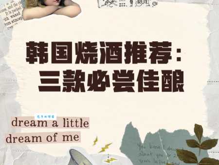 韩国烧酒什么味道？喝起来和饮料有什么区别？