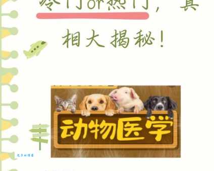 缄舌闭口打准确的一肖(如何才能找到准确答案)