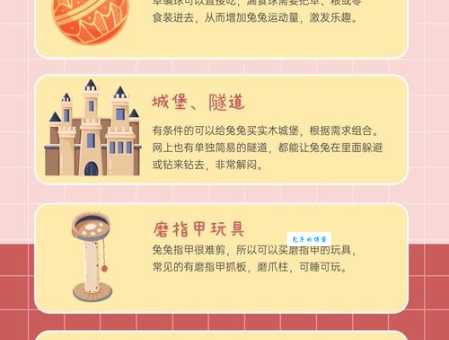 宠物兔子养殖技巧有哪些？这些方法让兔子更健康！