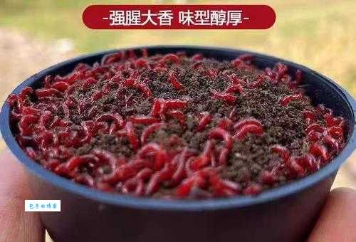 红虫怎么养活得久？这几个小窍门快收好！