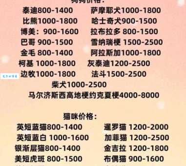 哈士奇一般多少钱一只？教你如何避免被坑！