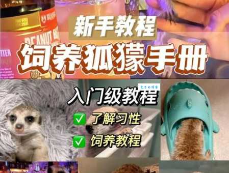 红颊獴怎么养长得好？这几个关键点要知道！