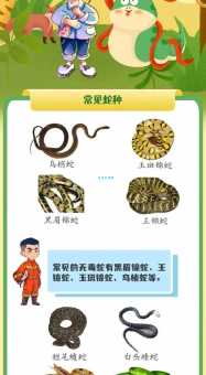中华水蛇和水蛇的区别是啥？这几个特点要牢记！