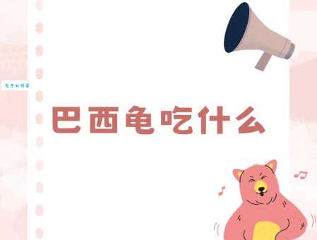巴西龟不吃东西怎么回事？可能是这些原因导致！