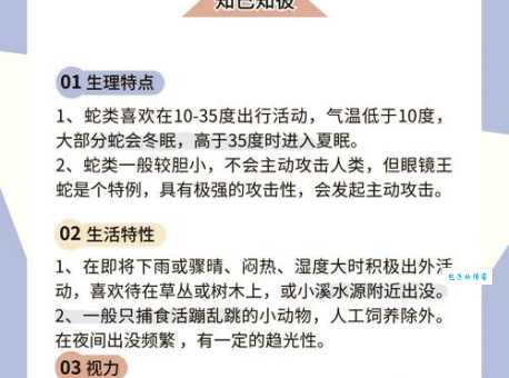 野外遇到花蛇怎么办？教你几招安全应对！