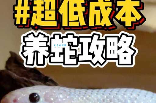 养蛇的成本高不高？新手养蛇如何控制成本？